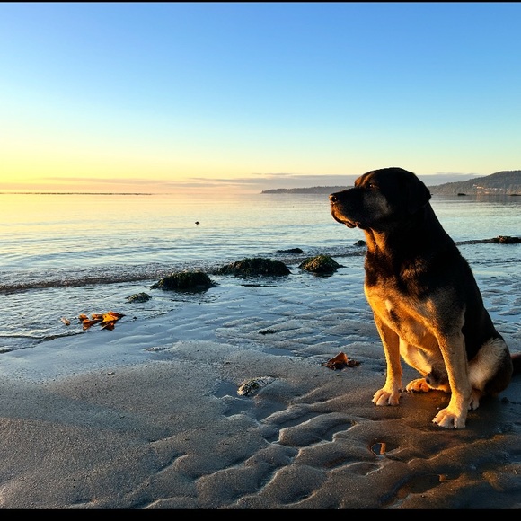 Meet your Posher, Becky - Picture 1 of 1